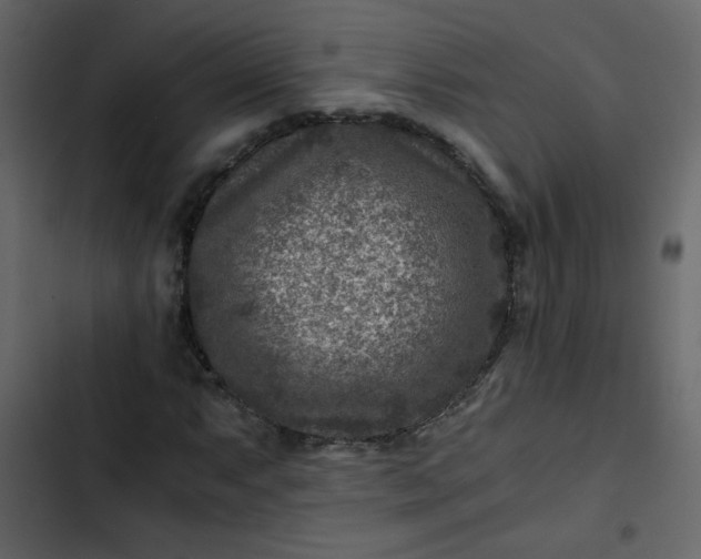 X0000102821063200809021245