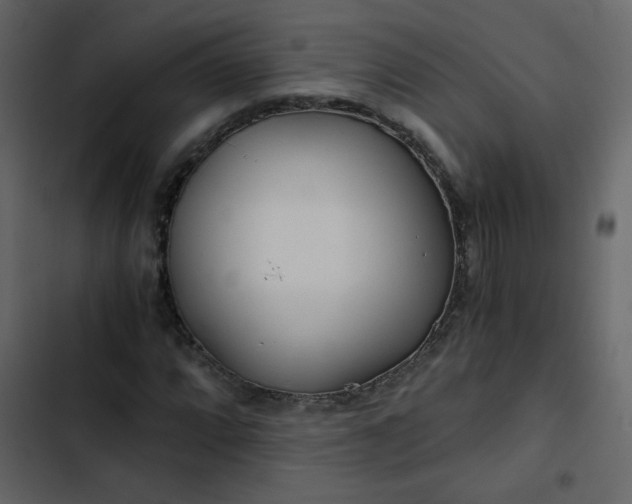 X0000102821064200809021245