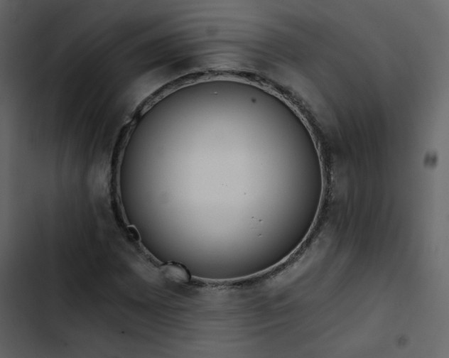 X0000102821065200809021245