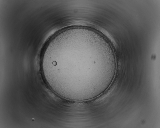 X0000102821067200809021245