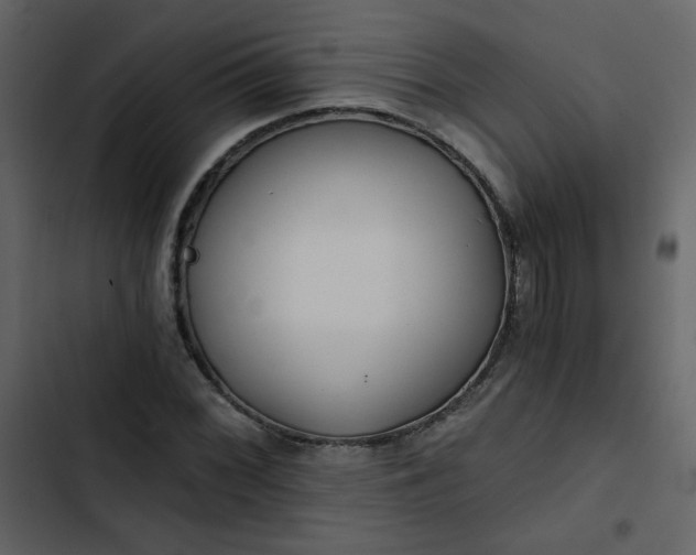 X0000102821068200809021245