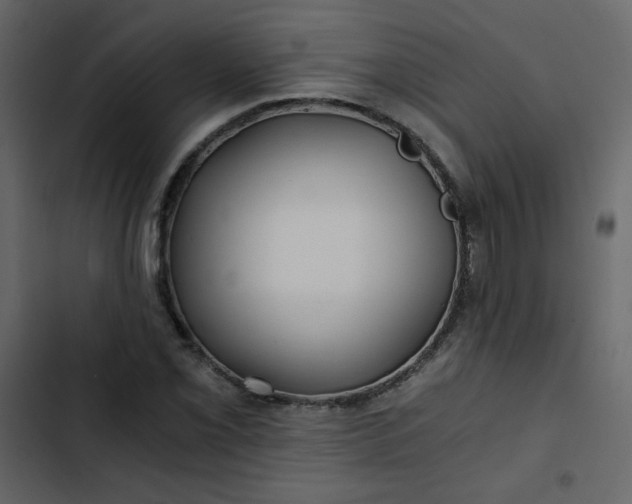X0000102821069200809021245