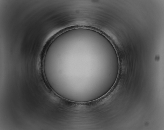 X0000102821070200809021245