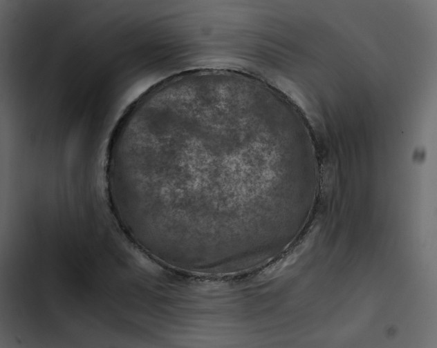 X0000102821071200809021245
