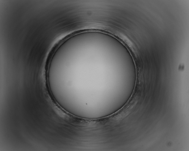X0000102821072200809021245