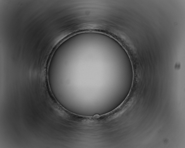 X0000102821073200809021245