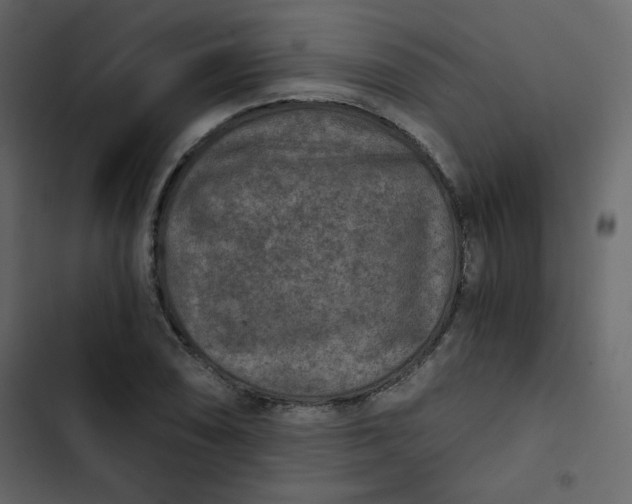 X0000102821074200809021245