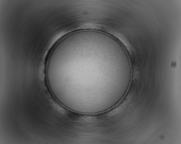 X0000102821075200809021245