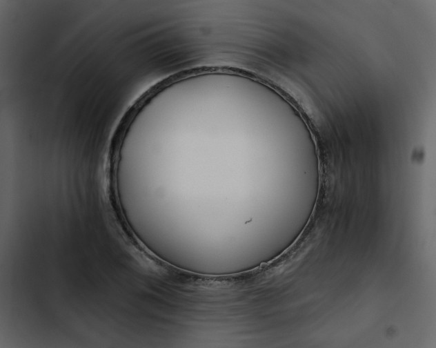 X0000102821076200809021245