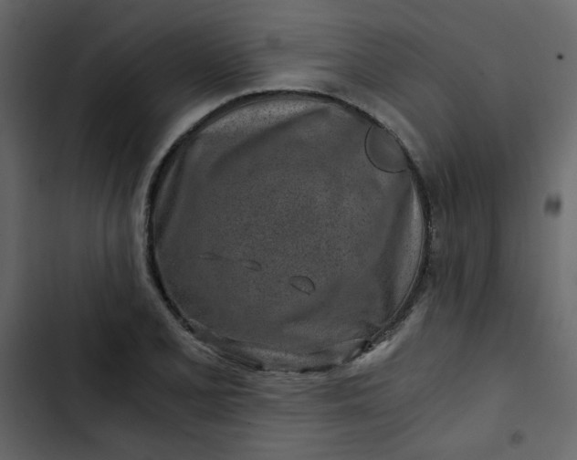 X0000102821077200809021245