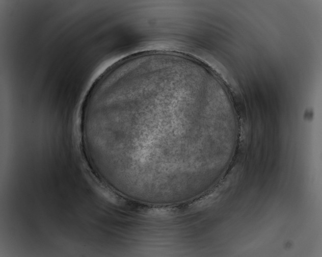 X0000102821078200809021245