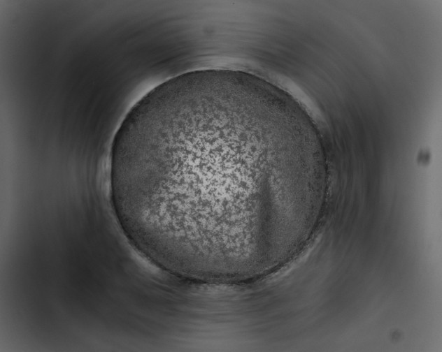 X0000102821079200809021245