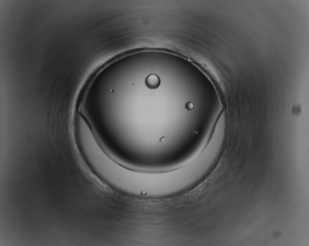 X0000102821080200809021245