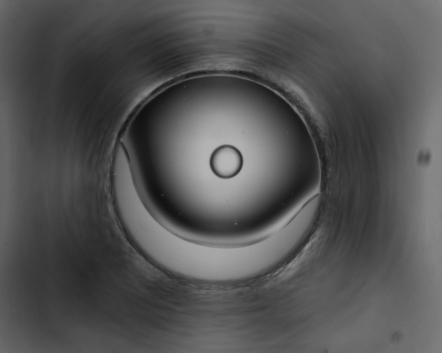X0000102821081200809021245