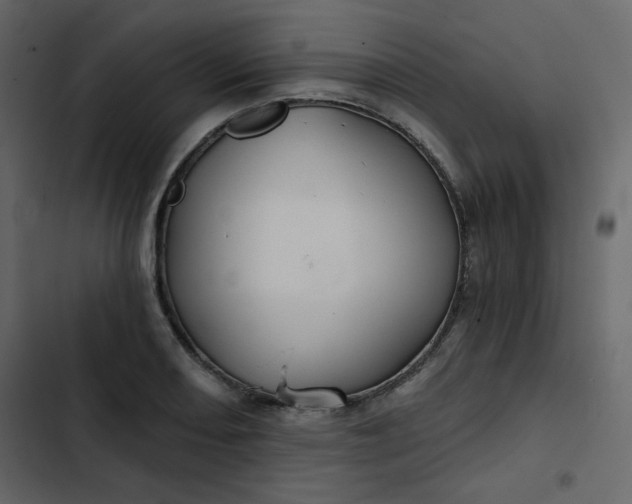 X0000102821082200809021245