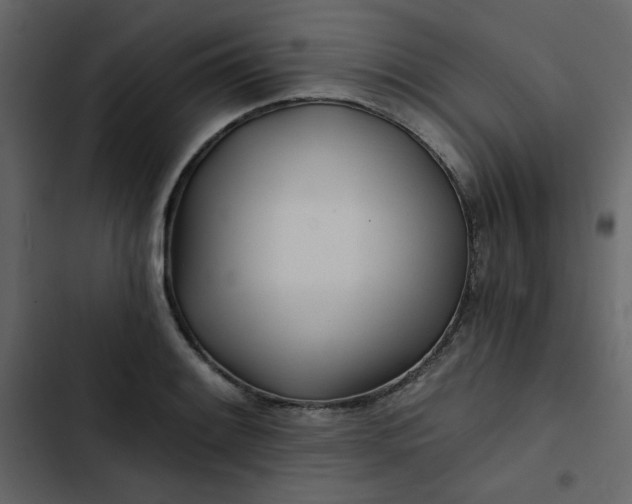 X0000102821084200809021245