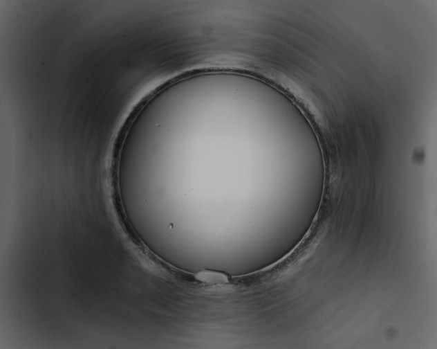 X0000102821085200809021245