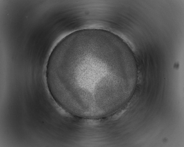 X0000102821086200809021245