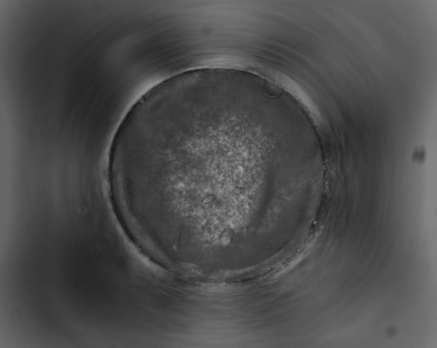 X0000102821087200809021245