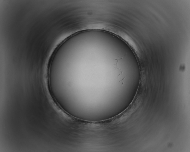 X0000102821088200809021245