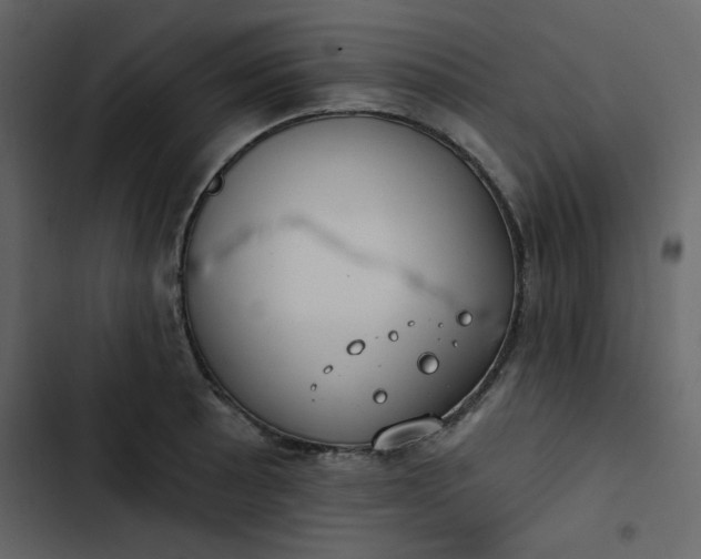 X0000102821089200809021245