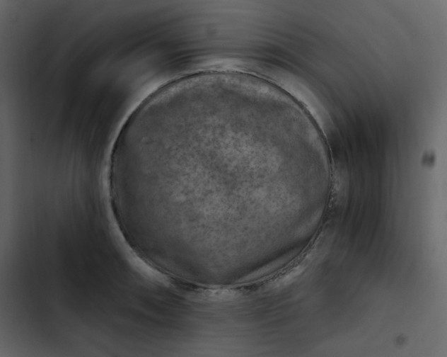 X0000102821090200809021245