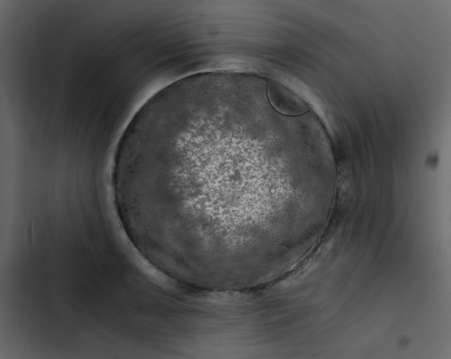 X0000102821091200809021245