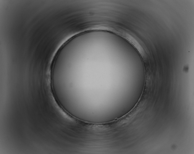X0000102821092200809021245