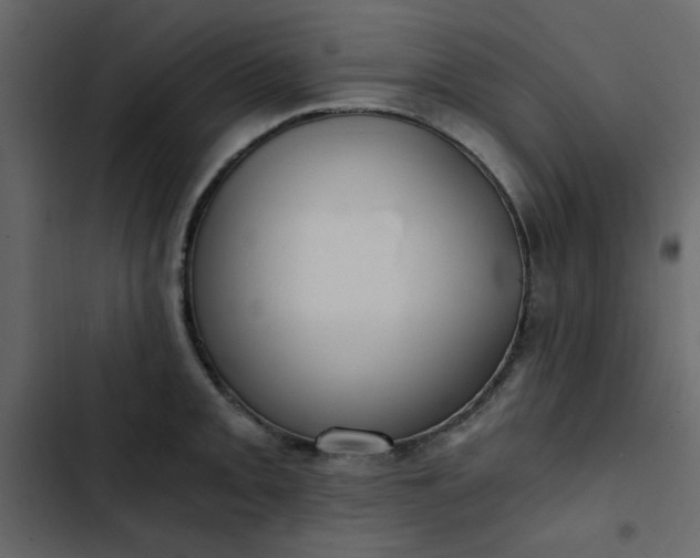 X0000102821093200809021245
