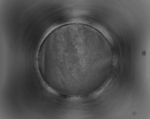 X0000102821094200809021245