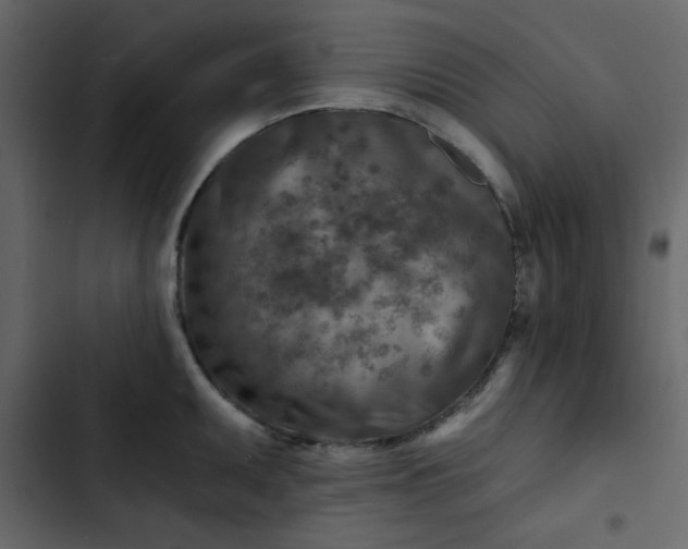 X0000102821095200809021245