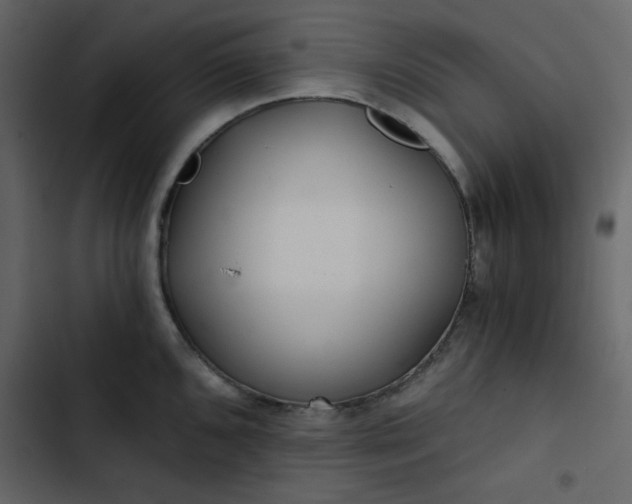 X0000102821096200809021245
