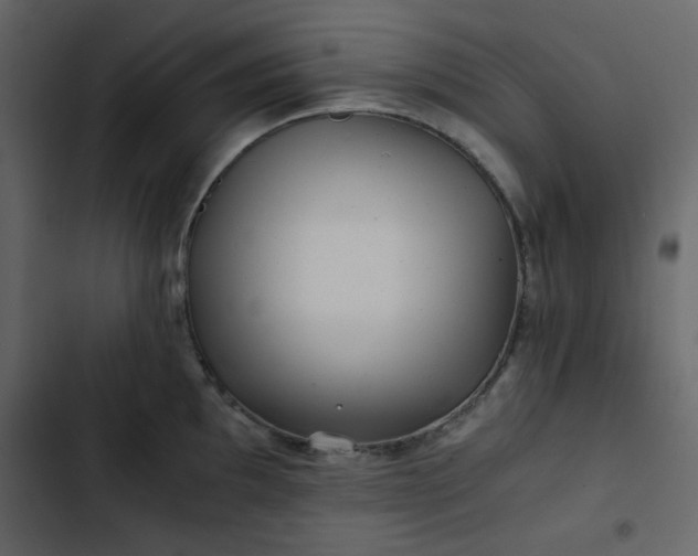 X0000102821097200809021245