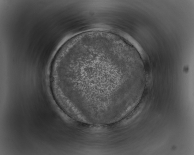 X0000102821099200809021244