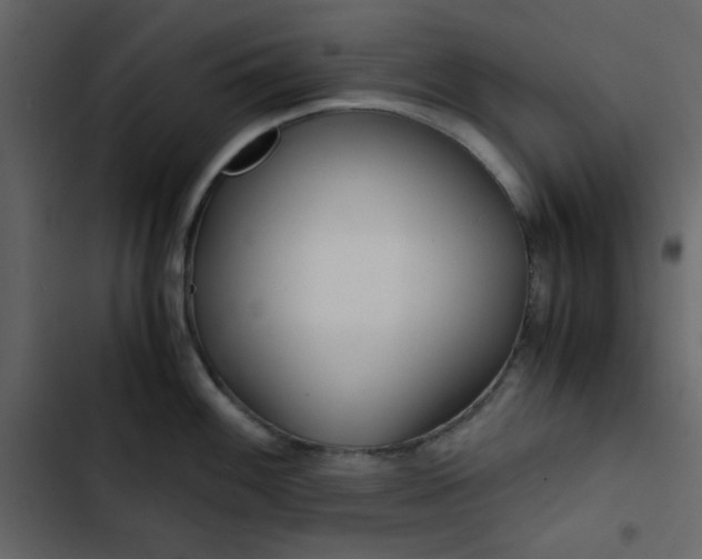 X0000102821100200809021244