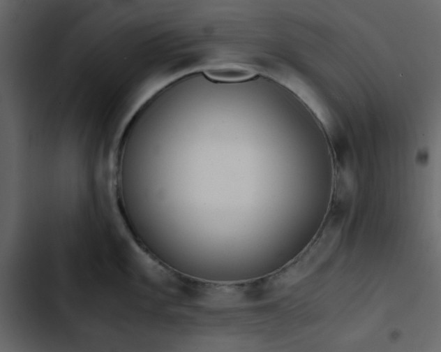 X0000102821101200809021244
