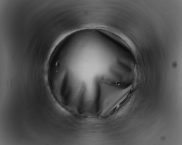 X0000102821102200809021244