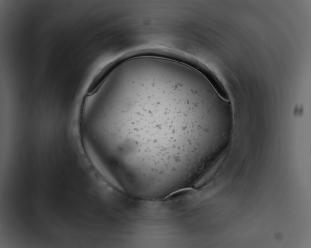 X0000102821104200809021244