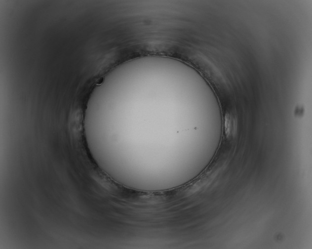 X0000102821107200809021244