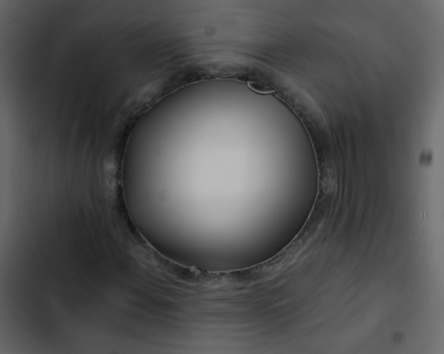 X0000102821108200809021244