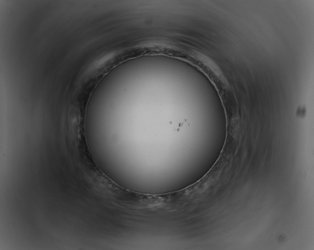 X0000102821111200809021244