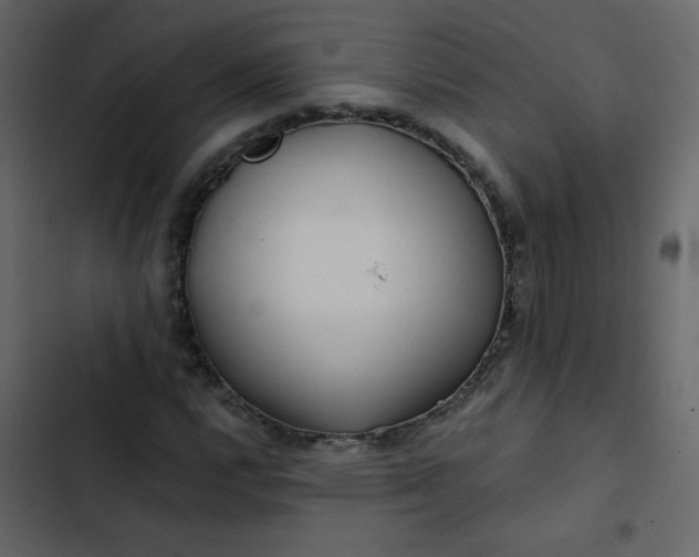 X0000102821112200809021244