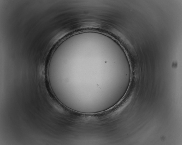 X0000102821113200809021244