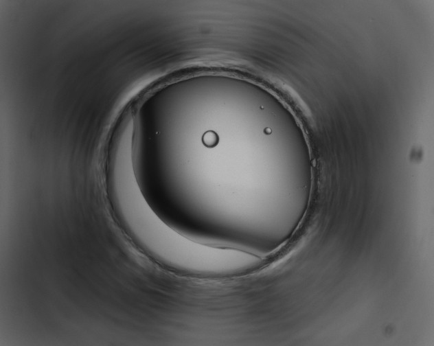 X0000102821114200809021244