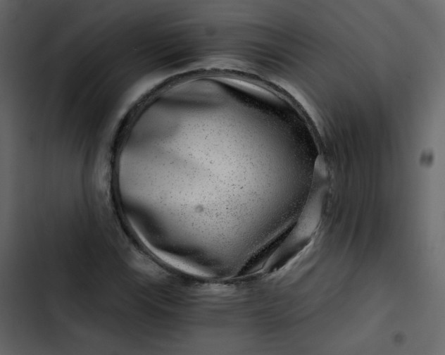X0000102821115200809021244