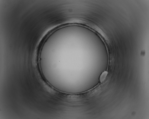 X0000102821116200809021244