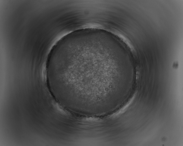 X0000102821117200809021244