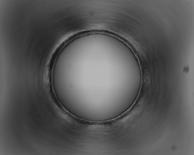 X0000102821118200809021244