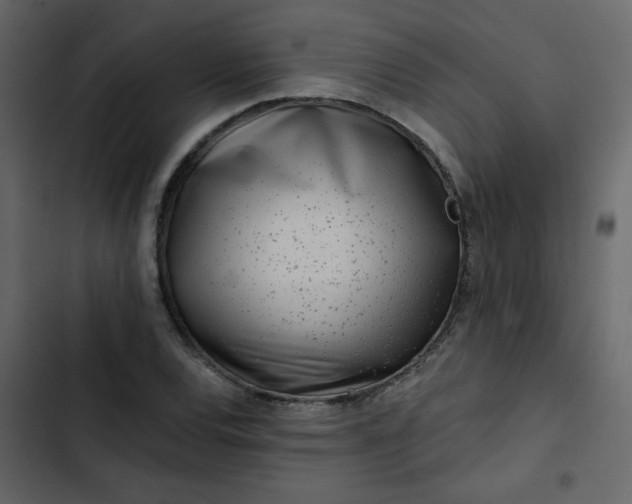 X0000102821120200809021244