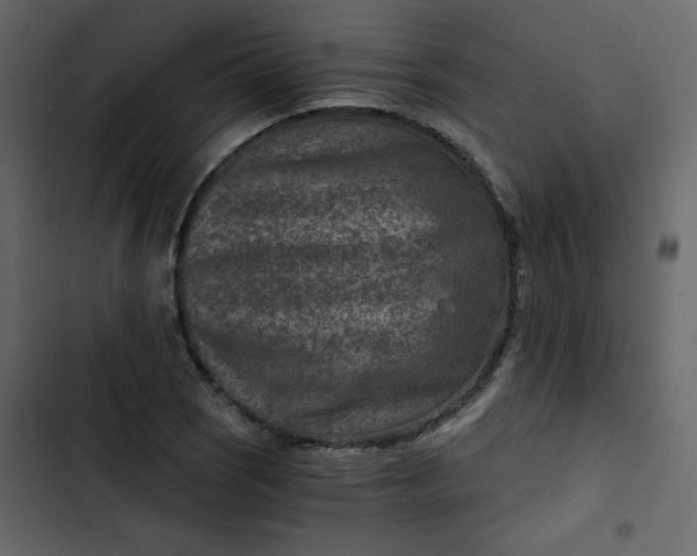 X0000102821121200809021244